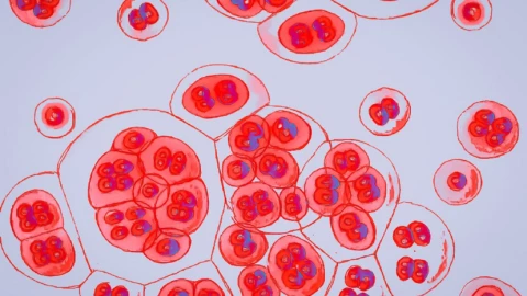 Bí ẩn virus HIV sắp được giải mã nhờ công nghệ nano mRNA?