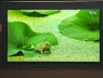 Tận mắt dòng TV mới của TCL sử dụng công nghệ tấm nền đang là điểm nóng