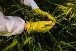Trung Quốc lo ngại bị gián điệp đánh cắp dữ liệu di truyền nông nghiệp