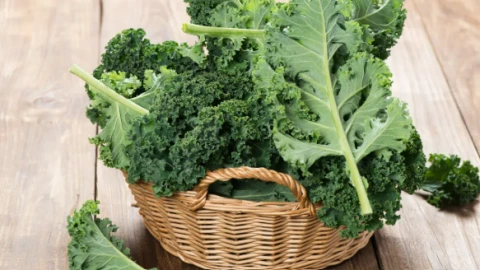 Các loại cây trồng chịu nhiệt cho mùa hè khắc nghiệt