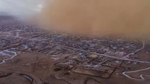 Chuyên gia Hoa Kỳ: Trồng cây ở sa mạc hại nhiều hơn lợi; tại sao Trung Quốc xây “Vạn Lý Trường Thành xanh” giữa sa mạc khô cằn?