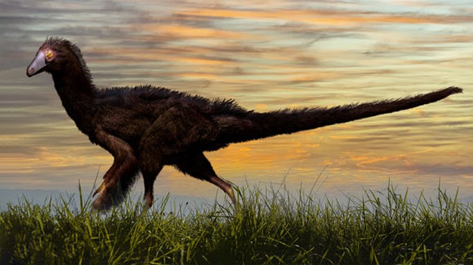 Phát hiện quái thú khủng long được cho là tổ tiên của chim hiện đại ngày nay