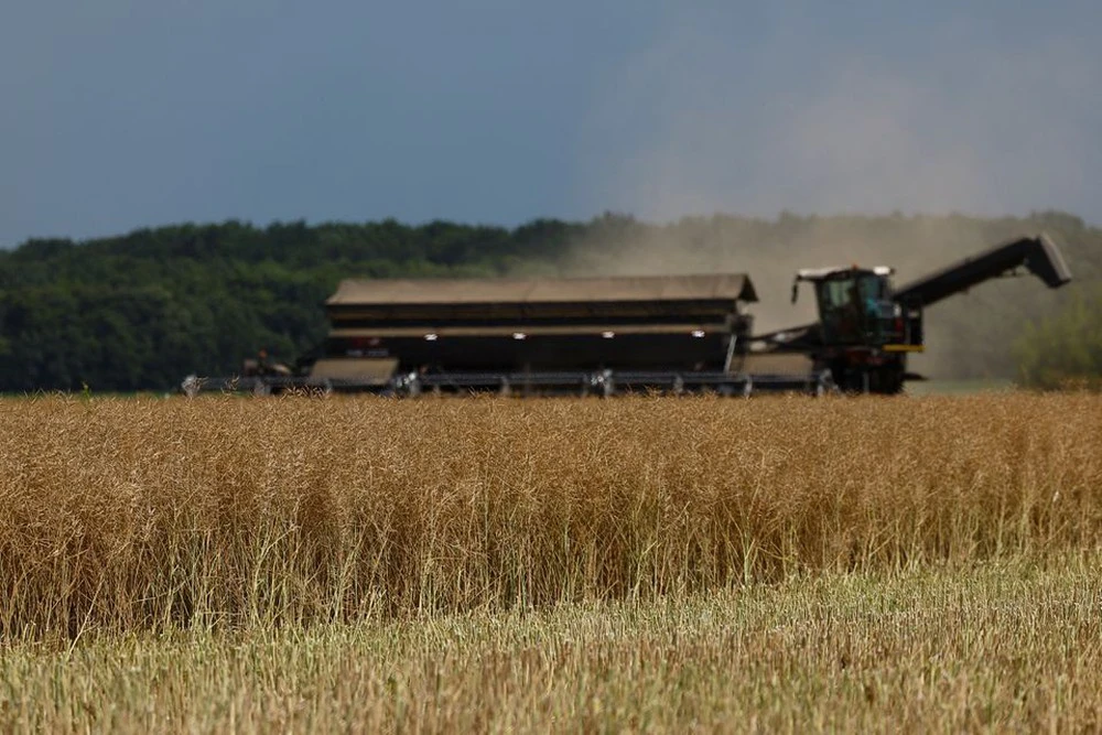 Nga rút khỏi Sáng kiến Ngũ cốc Biển Đen đã giáng 1 đòn chí mạng vào nông nghiệp Ukraine 