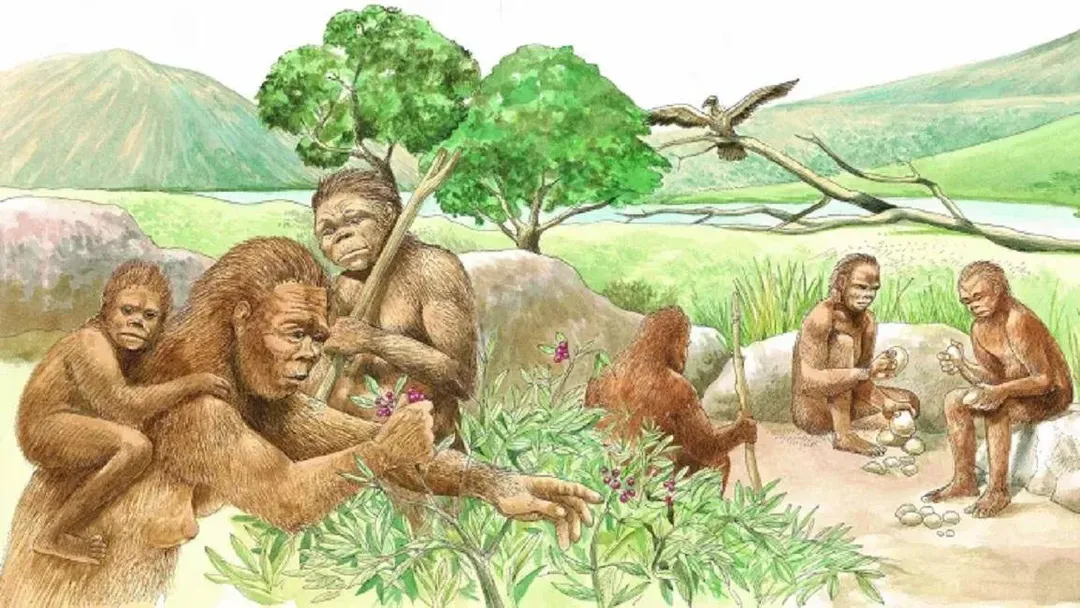 Cách đây 100.000 năm có ít nhất 6 loài người trên trái đất, rốt cuộc tại sao chúng ta là người duy nhất còn lại?