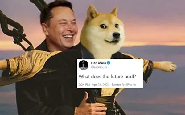 Elon Musk và nhà sáng lập Dogecoin đấu "võ mồm", mắng nhau không biết lập trình!