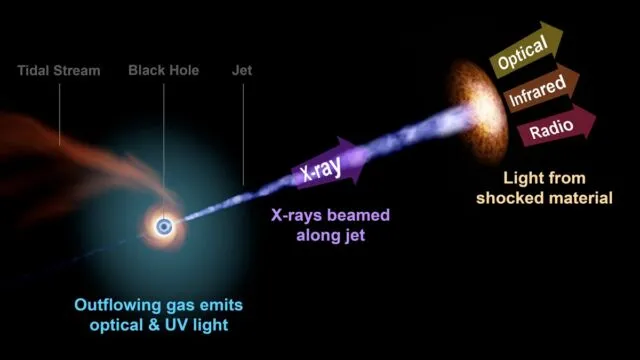 Phát hiện ngôi sao bị lỗ đen nuốt gọn, cách trái đất 8,5 tỷ năm ánh sáng