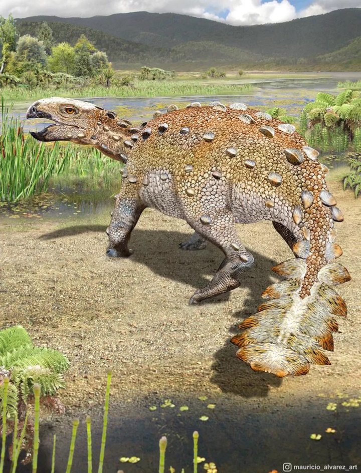 Phát hiện loài khủng long có lưỡi dao phay ở đuôi