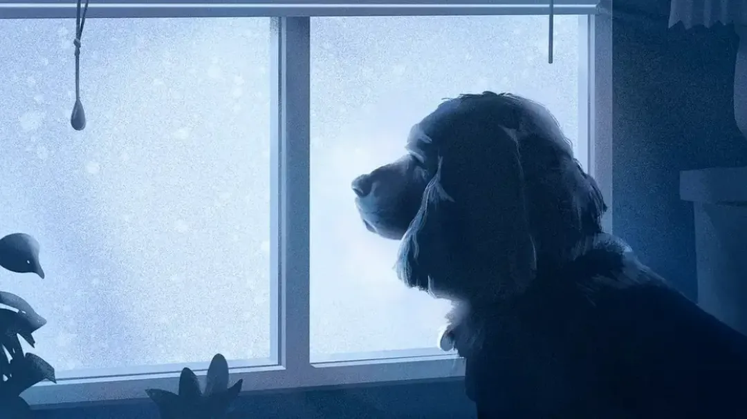 thumbnail - Nghiên cứu: Loài chó cũng biết "thương tiếc" đồng loại