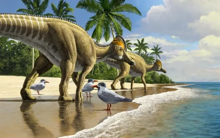 Những ngày cuối đời của khủng long Edmontosaurus diễn ra như thế nào?