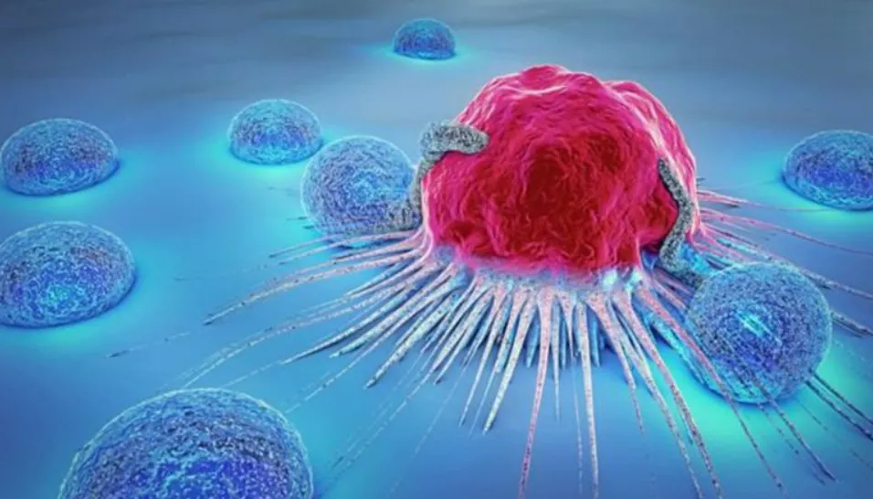 Bắt đầu thử nghiệm tiêm virus gây ung thư, sau đó tiêm thuốc điều trị ung thư mới người