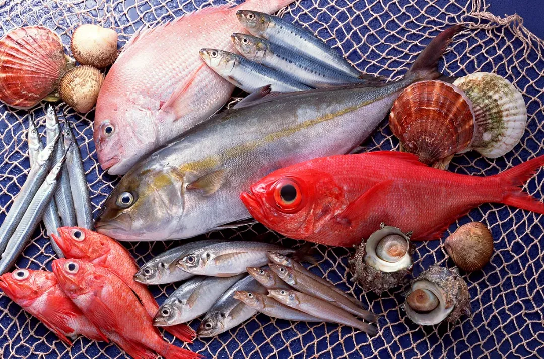 Mối liên hệ kỳ lạ giữa việc ăn cá và nguy cơ ung thư da