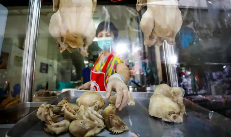 Thái Lan: cho gà ăn cần sa để giảm bệnh tật và ngon thịt hơn