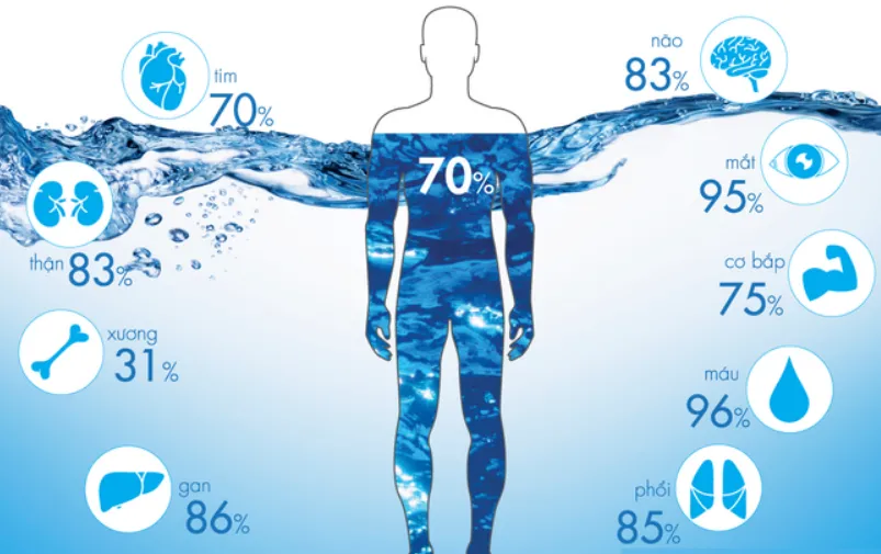 Những lý do khiến cơ thể của chúng ta rất dễ bị mất nước