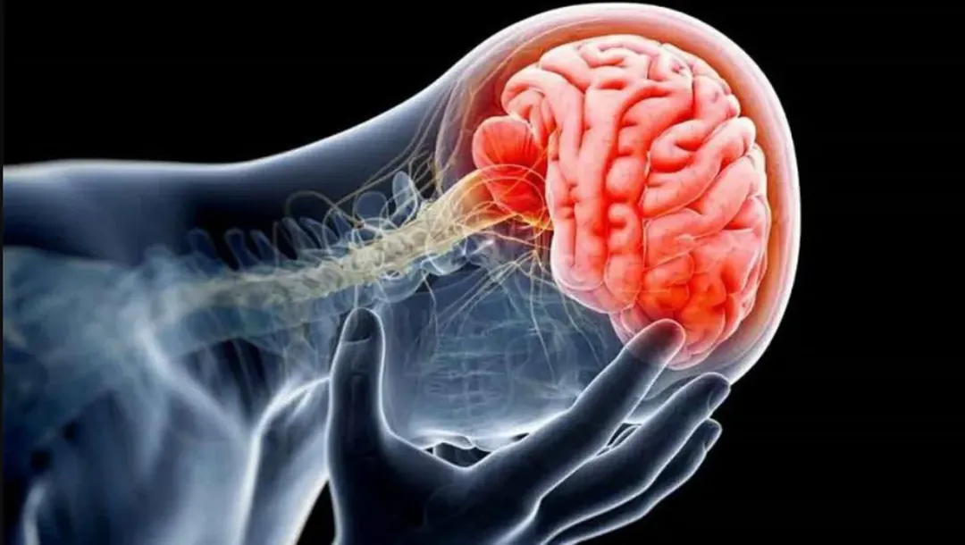 thumbnail - Tìm cách để não bộ có thể hồi phục kỳ diệu sau khi bị chấn thương