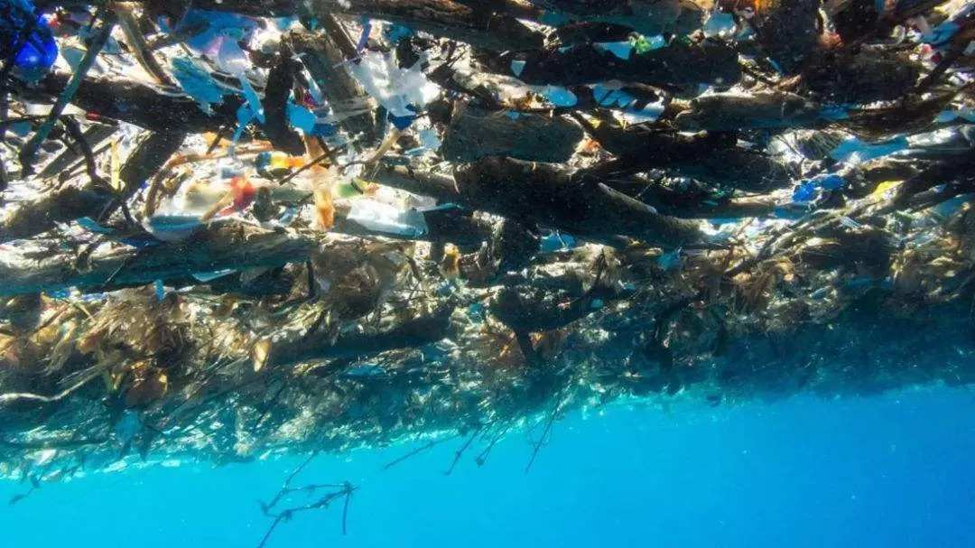 Những “hòn đảo nhựa” trên biển đã đi đâu?