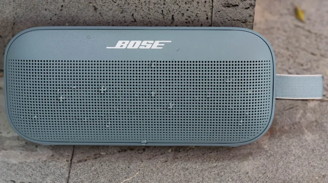 Tại sao các audiophile lại ghét cay ghét đắng Bose?