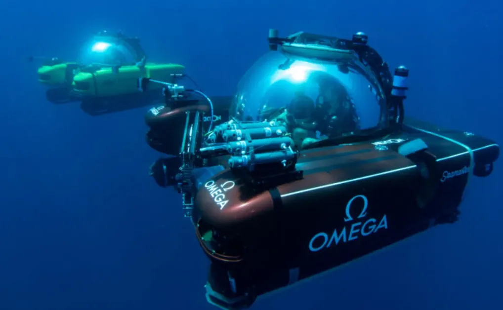 Hệ sinh thái "mới toanh" sâu 500 mét dưới đáy đại dương gây kinh ngạc cho các nhà khoa học