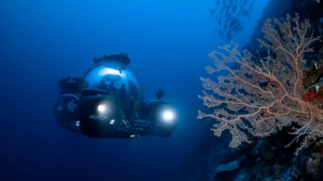 thumbnail - Hệ sinh thái "mới toanh" sâu 500 mét dưới đáy đại dương gây kinh ngạc cho các nhà khoa học