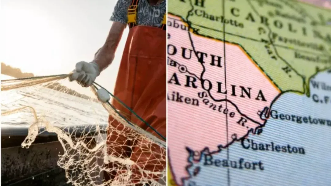 thumbnail - Kinh khủng: số dây câu cá trôi nổi trên đại dương đủ nối dài 2 vòng từ Trái Đất lên Mặt Trăng, diện tích lưới đánh cá đủ bao phủ cả 1 bang ở Mỹ