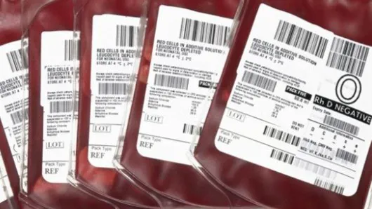 Hiếm có nhóm máu gấu trúc có thể nhận máu từ những nhóm máu khác hay không?
