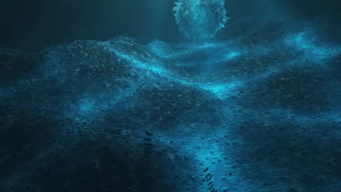 Một 'Quả bóng tử thần' ăn thịt đã nổi lên từ vực sâu