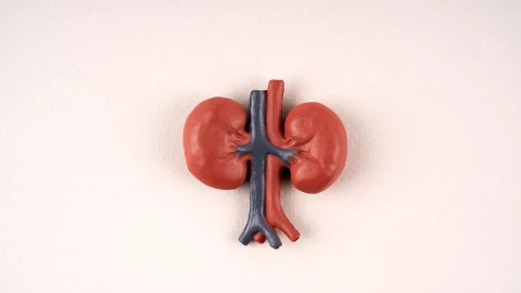 12 siêu thực phẩm tốt cho thận