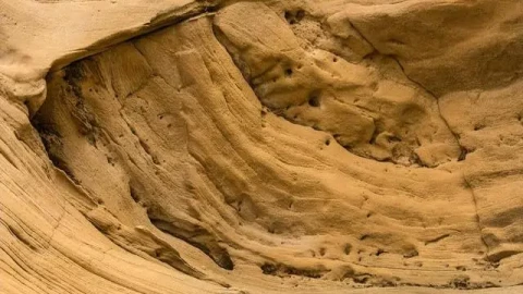 Tài nguyên quý giá nhất ở Trung Quốc không phải là dầu mỏ, đất hiếm, vậy nó là gì?