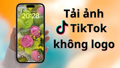 Cách tải ảnh TikTok không logo, giữ nguyên chất lượng