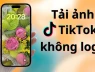 Cách tải ảnh TikTok không logo, giữ nguyên chất lượng