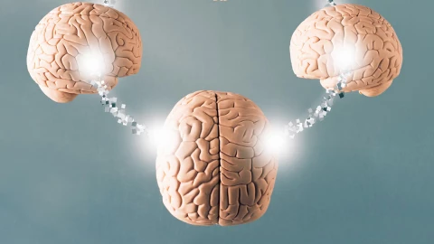 Liệu thần giao cách cảm có thật? Bí ẩn kết nối não-não đang dần được giải mã