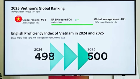 Việt Nam thăng hạng trong bảng xếp hạng độ thông thạo tiếng Anh toàn cầu EF 2025, vượt qua Trung Quốc, Nhật Bản, Ấn Độ
