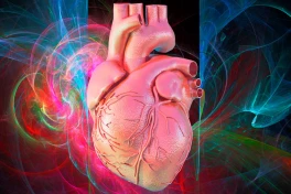 Tính cách có thể “truyền” qua việc ghép tạng?