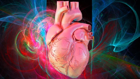 Tính cách có thể “truyền” qua việc ghép tạng?