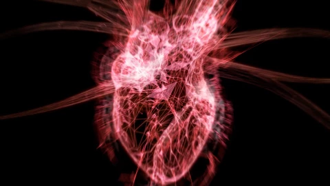 Đây là nguyên nhân khiến hàng triệu người tử vong vì sốc mất máu?