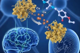 Alzheimer có thể được ngăn chặn từ gốc nhờ hợp chất hóa học mới