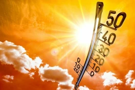 Vừa trải qua ngày Hạ chí 21/6 nóng kỷ lục 39 độ C, có phải năm 2024 đang trở thành "lò lửa" hay không?