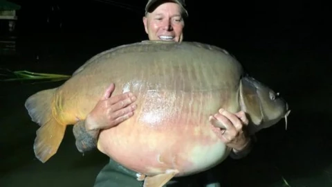 Cần thủ phát hiện cá chép khổng lồ, cơ quan quản lý hoảng hồn cảnh báo