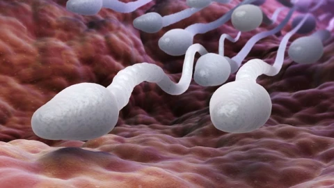 Dấu hiệu suy tàn của nhân loại ngày càng hiện rõ