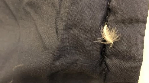 Cách khắc phục áo lông vũ bị ra lông