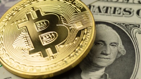 Lò rửa tiền Bitcoin lớn nhất châu Âu sụp đổ: 29 triệu USD bị tịch thu trong chớp mắt