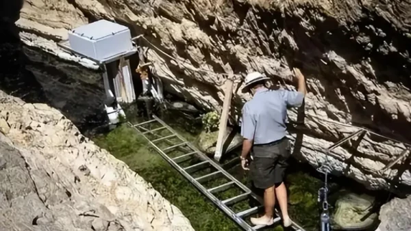 Bạn đã nghe nói đến loài cá sa mạc chưa? Bị cô lập trong 60.000 năm, chỉ còn lại 38 con. Tại sao chúng không thể được di dời?