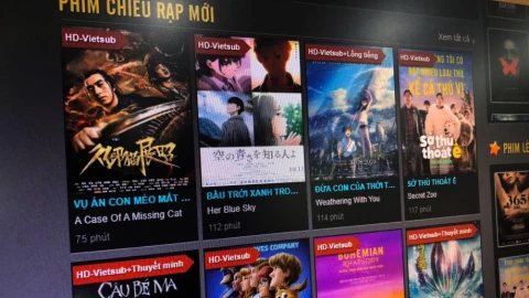 Brazil triệt phá hàng chục doanh nghiệp streaming lậu, vi phạm bản quyền nội dung