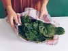 Rau nên bảo quản như thế nào? Tham khảo cách này đảm bảo vừa lâu vừa tươi