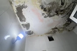 Trần nhà bị thấm do sàn nhà hàng xóm, nhưng hàng xóm không sửa thì phải làm sao?