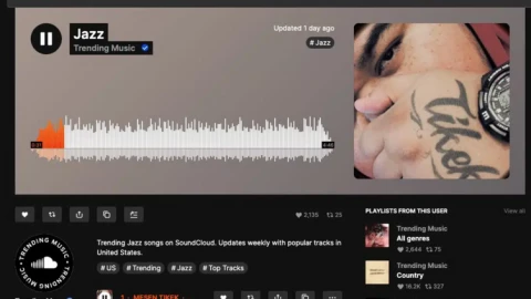 Ứng dụng nghe nhạc miễn phí phổ biến bị chặn tại Việt Nam