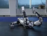 Độc lạ robot hình người của Mỹ, tự đứng dậy theo cách không thể ngờ tới