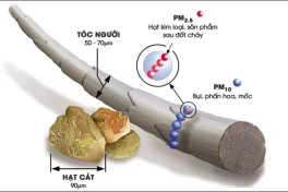 Chất độc có trong khói thuốc và bụi mịn gây hàng triệu ca tử vong