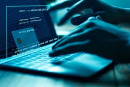 Bảo vệ quyền riêng tư trực tuyến: Bạn cần làm gì ngoài việc dùng VPN?