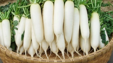 5 nhóm người nên thận trọng hoặc nên tránh ăn củ cải trắng