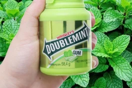 Chuyện gì xảy ra với cơ thể chúng ta khi nuốt kẹo cao su?